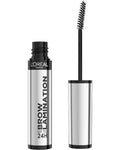 L'Oréal Infallible 24H Brow Lamination, Water-Resistant Eyebrow Gel, Clear, 0.16 Fl Oz