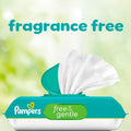 Pampers Free & Gentle Baby Wipes, 99% Water, Unscented, 624 Wipes (8 Packs)