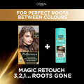 L'Oreal Paris Preference Hair Dye, 6.21 Zurich