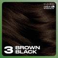 Clairol Natural Instincts Semi-Permanent Hair Dye, 3 Brown Black, 5.85 Fl Oz, 1 Pack