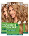 Clairol Natural Instincts Semi-Permanent Hair Dye, 8A Medium Cool Blonde, 1 Pack